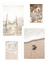Elegance Beige Poster Seti